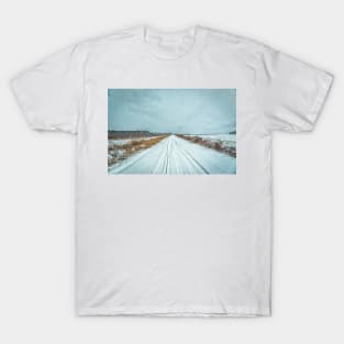 January Snow Day T-Shirt